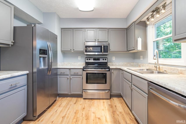 kitchen featuring a textured ceiling, light hardwood / wood-style flooring, stainless steel appliances, sink, and gray cabinetry