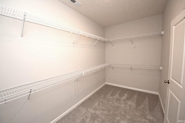 walk in closet featuring carpet floors