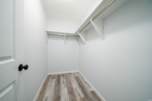 walk in closet with light hardwood / wood-style flooring