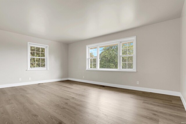 unfurnished room featuring wood-type flooring and a wealth of natural light