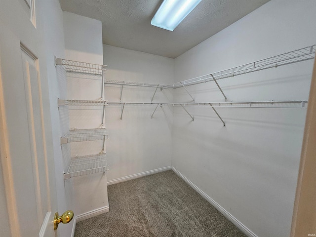 spacious closet with carpet