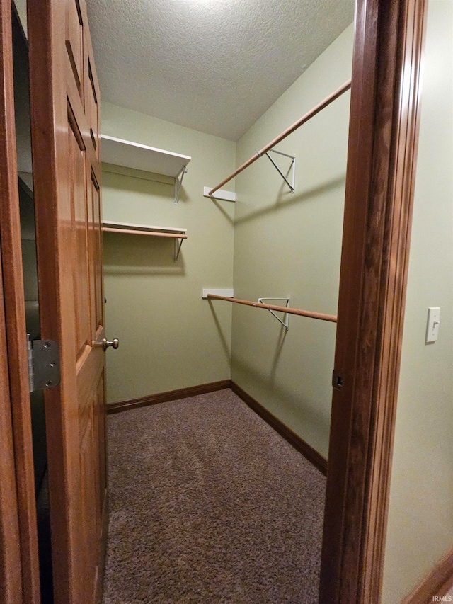 spacious closet with carpet