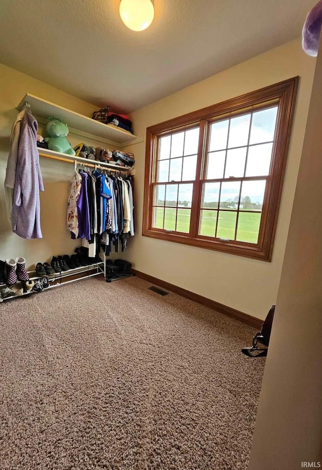 spacious closet with carpet floors