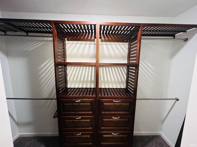 spacious closet featuring carpet flooring