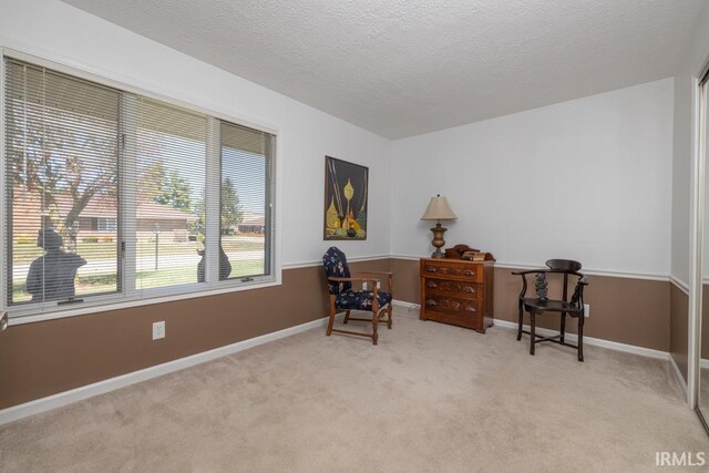 sitting room with a textured ceiling and light colored carpet