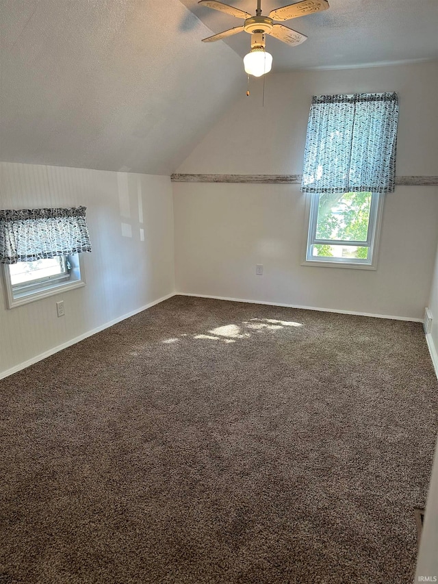 additional living space featuring carpet floors, a textured ceiling, lofted ceiling, and a wealth of natural light