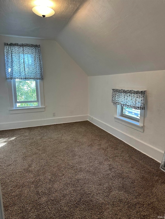 bonus room featuring carpet floors, a textured ceiling, and vaulted ceiling