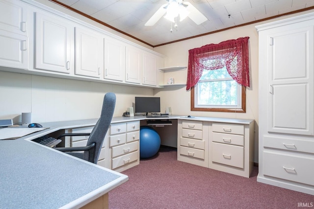 office space with ceiling fan, carpet floors, built in study area, and crown molding