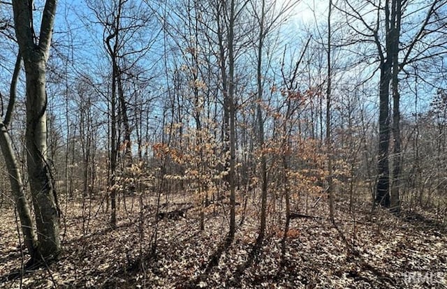 0 Middle Patton Park Rd, Martinsville IN, 46151 land for sale