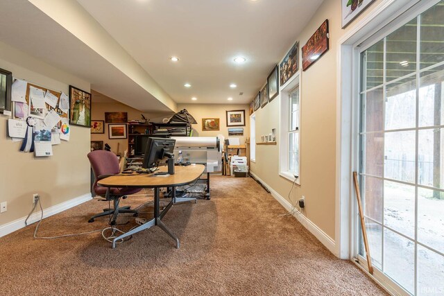 office featuring plenty of natural light and carpet