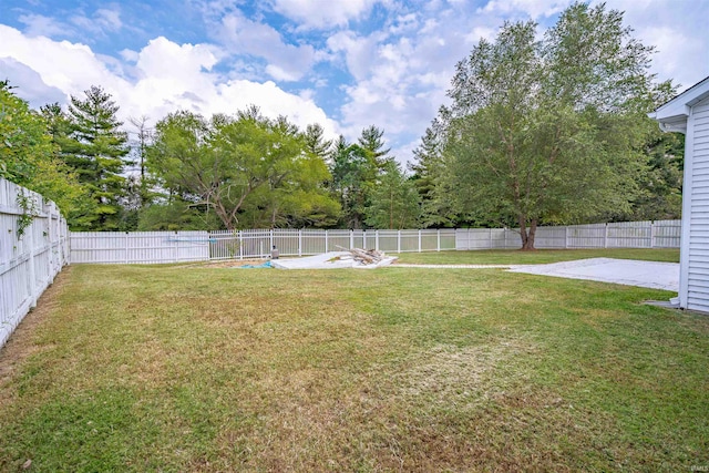 view of yard featuring a fenced backyard and a patio