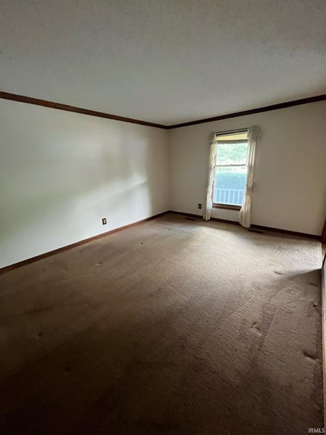 carpeted spare room with crown molding and a textured ceiling