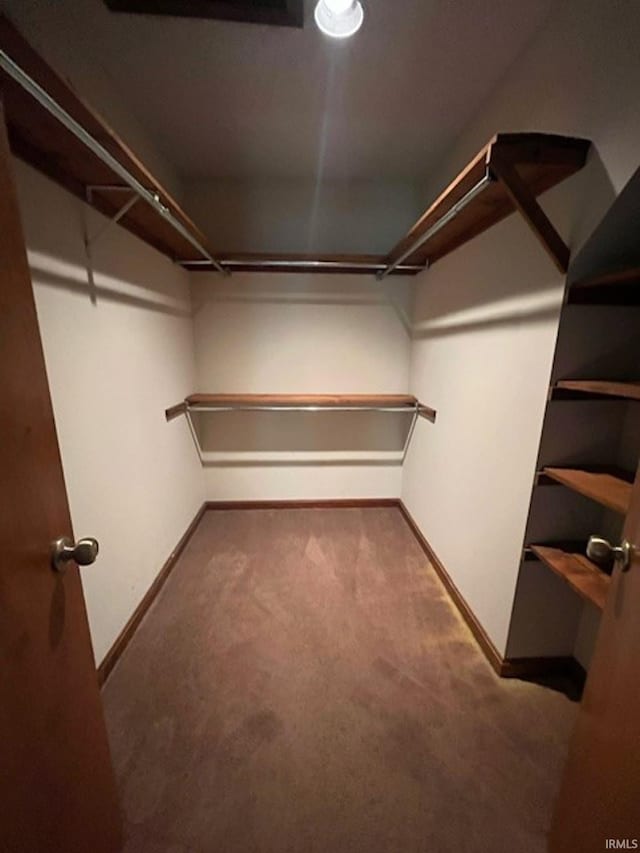 spacious closet with carpet floors