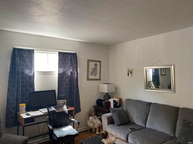 living room with a textured ceiling and hardwood / wood-style floors