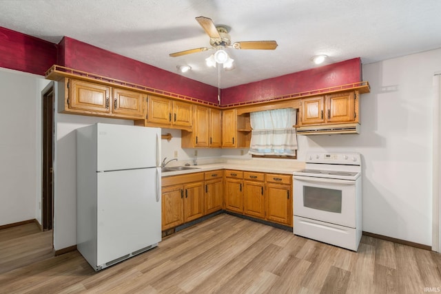 kitchen featuring white appliances, light hardwood / wood-style floors, sink, ceiling fan, and a textured ceiling