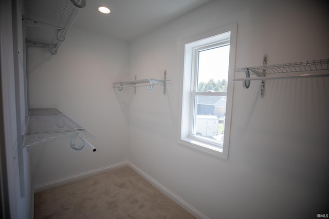 114 Meadow Ct, Argos, IN 46501 - spacious closet with carpet flooring