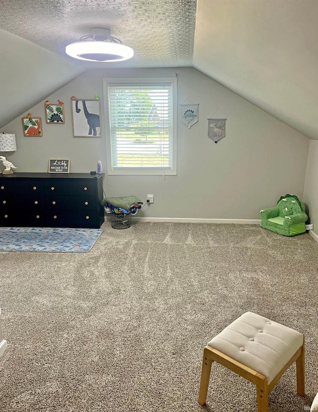 interior space featuring lofted ceiling and a textured ceiling