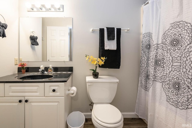 bathroom featuring vanity, toilet, and wood-type flooring