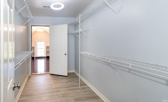 spacious closet featuring light hardwood / wood-style flooring