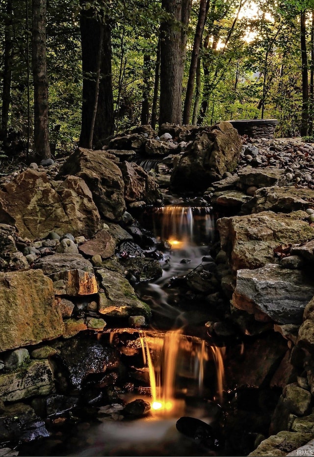 view of local wilderness