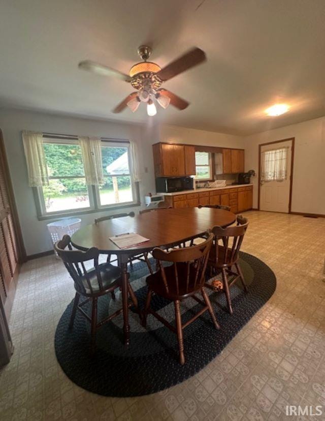 dining area featuring ceiling fan