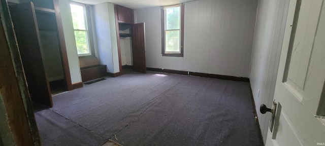 unfurnished bedroom with multiple windows and carpet floors