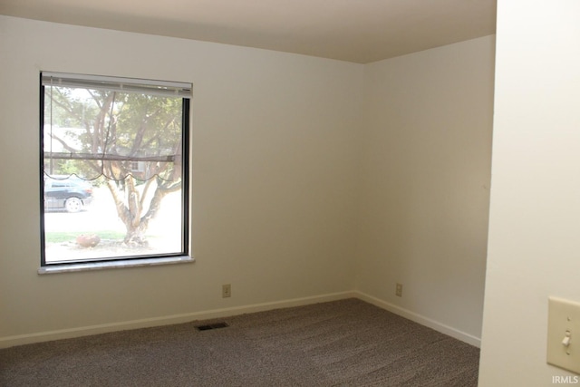 empty room with a healthy amount of sunlight and carpet flooring