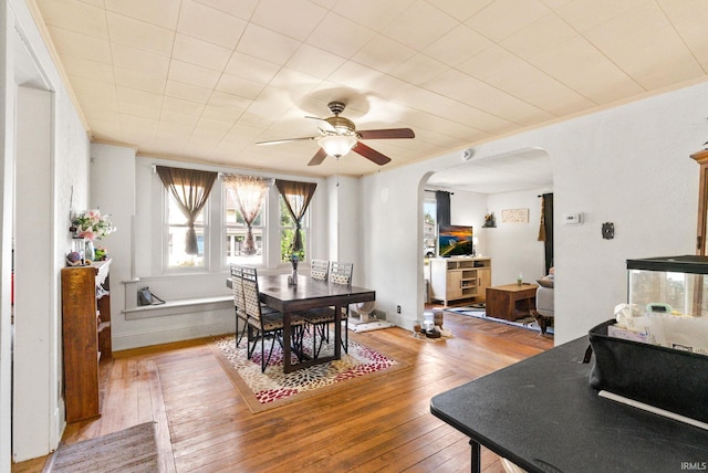 dining area with light hardwood / wood-style flooring and ceiling fan