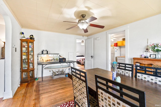 dining space featuring ceiling fan and light hardwood / wood-style flooring