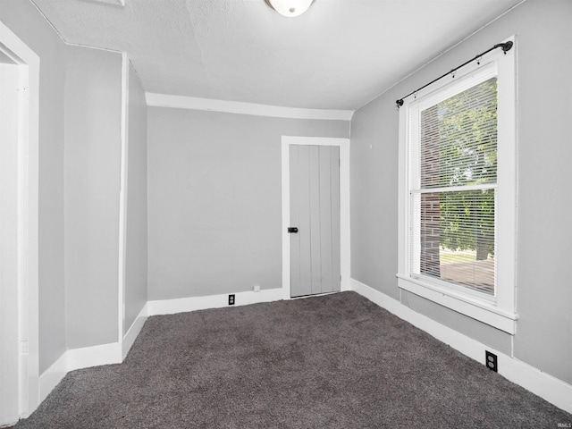 spare room featuring a wealth of natural light, carpet floors, and a textured ceiling