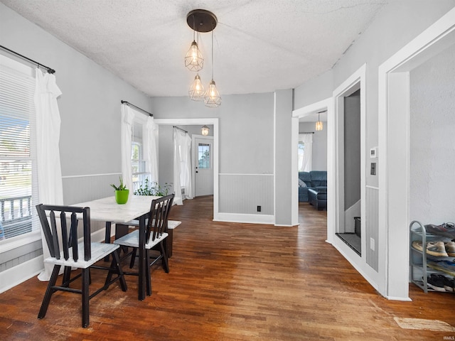 dining room with wood-type flooring, plenty of natural light, and a textured ceiling