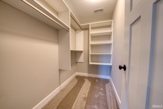 walk in closet featuring carpet