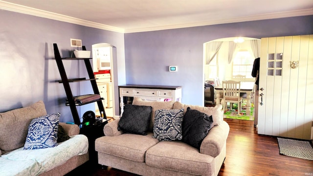 living room with ornamental molding, dark hardwood / wood-style flooring, and washer / clothes dryer