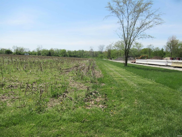 view of yard featuring a rural view