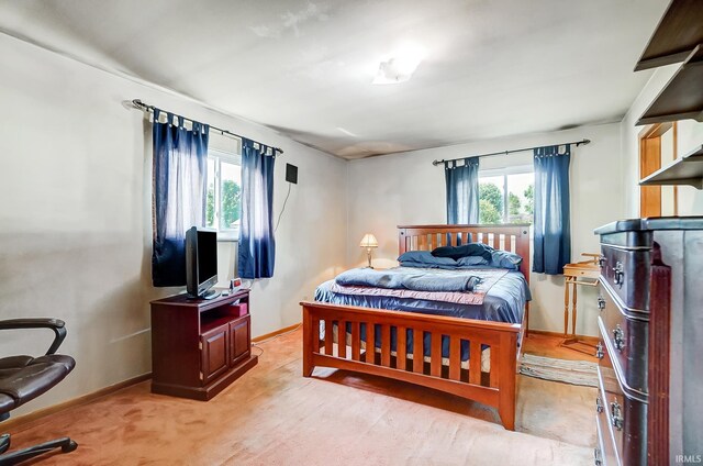 bedroom featuring carpet