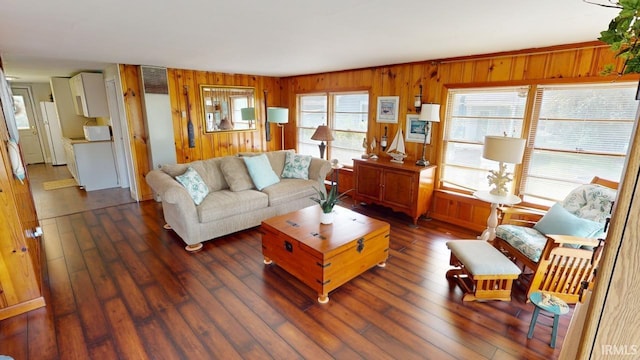 living room featuring wood walls, a wealth of natural light, and dark hardwood / wood-style floors