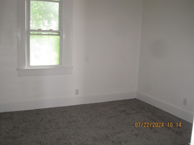 carpeted empty room featuring plenty of natural light