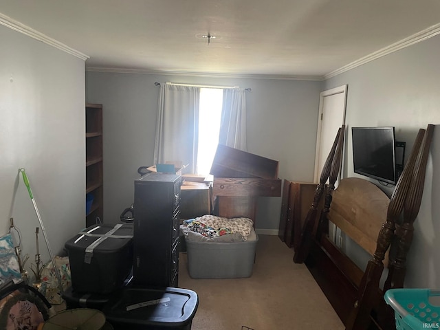 carpeted home office featuring crown molding