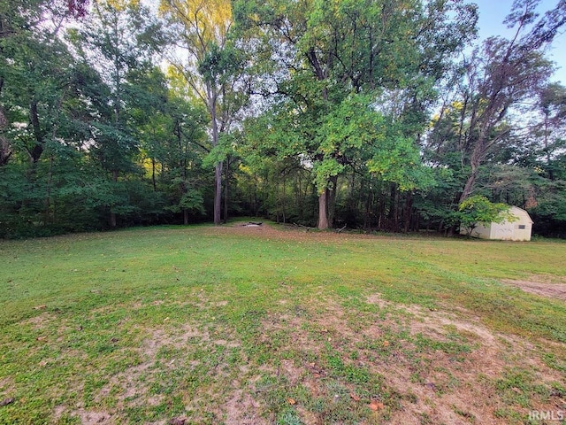 view of yard with a shed