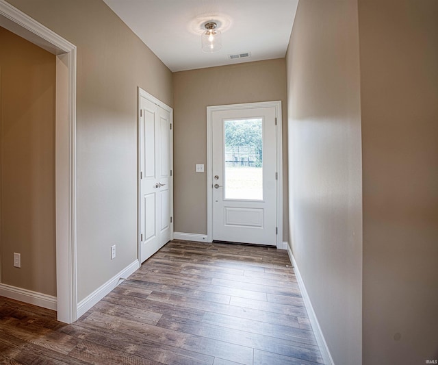 entryway featuring wood-type flooring