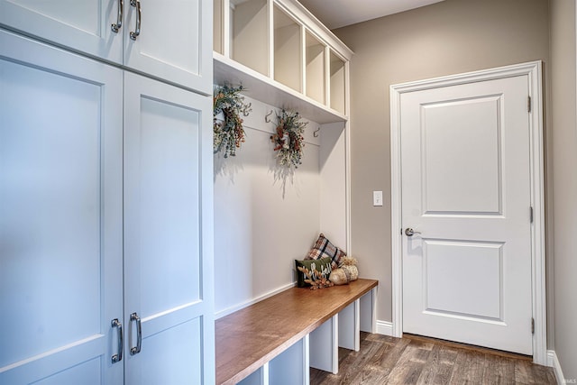 mudroom with dark wood-type flooring