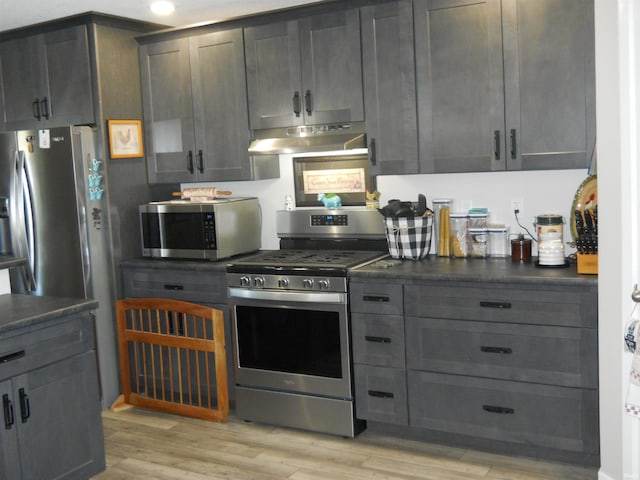 kitchen with appliances with stainless steel finishes and light hardwood / wood-style floors