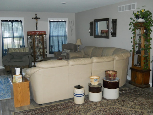 living room featuring dark hardwood / wood-style flooring