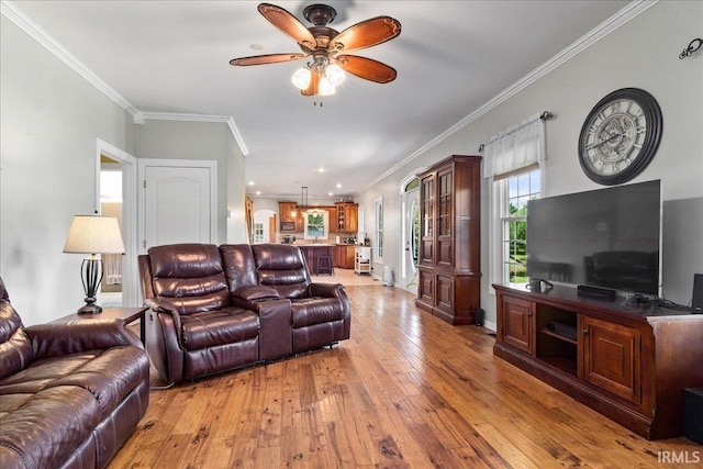 living room with ornamental molding, light hardwood / wood-style flooring, and ceiling fan