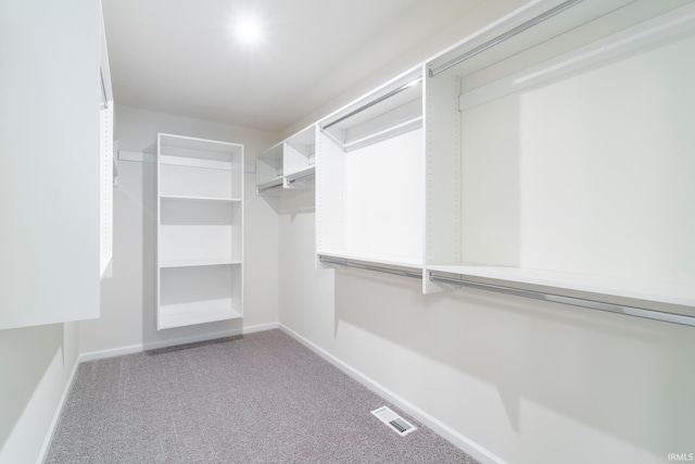 walk in closet with carpet floors