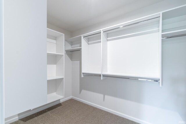 spacious closet with carpet flooring