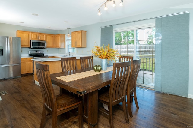 dining room featuring a wealth of natural light, sink, and dark hardwood / wood-style flooring