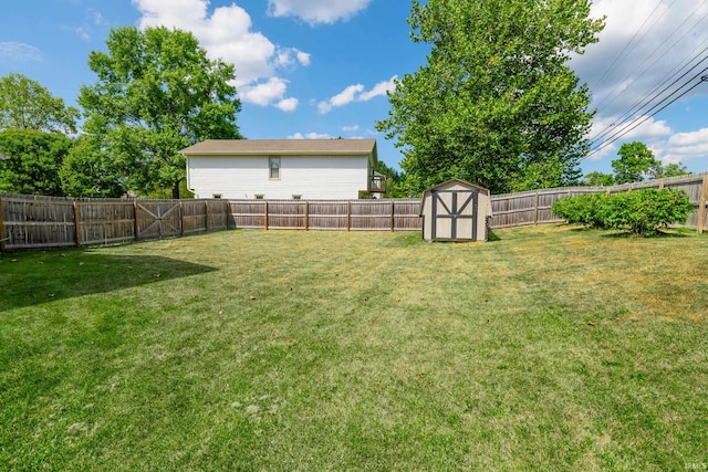 view of yard with a shed