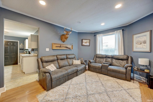 living room featuring a textured ceiling, crown molding, sink, and light wood-type flooring