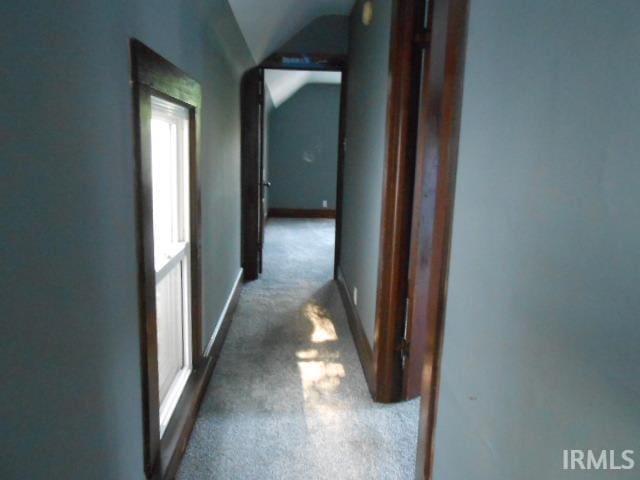 hall featuring dark colored carpet and vaulted ceiling